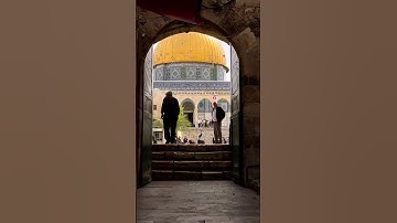 #اسلام_صبحي #خواتيم_سورة_المؤمنون #quran #فلسطين #قرآن_كريم #قرآن