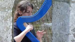 NIGHTWISH - While Your Lips Are Still Red - harp / harpe / 竖琴 chords