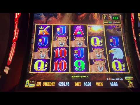 Back 2 back Bonus run .