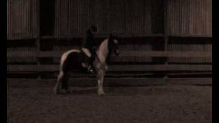 Flatwork Charlie in the dark .wmv