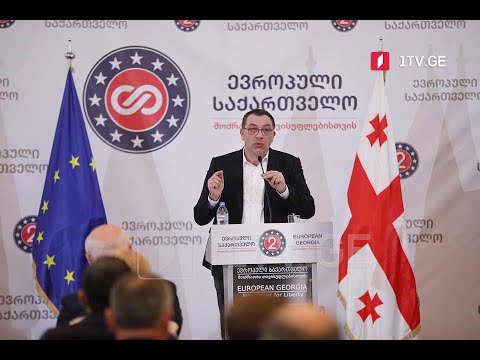 „ევროპული საქართველოს“ განცხადება