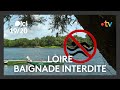 Les raisons de l'interdiction de la baignade dans la Loire