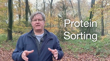 Understanding Protein Sorting: Cellular Transport Mechanisms Explained