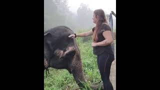 ????? ?????? Beautiful Sri Lanka - Best Travel location in Sri Lanka   #shorts