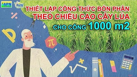 APN - THIẾT LẬP CÔNG THỨC BÓN PHÂN THEO CHIỀU CAO CHO CÔNG 1000 m2