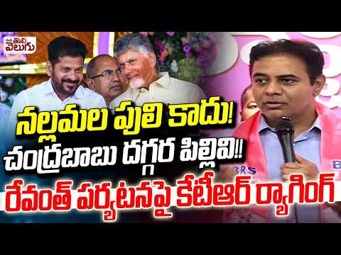 నువ్ పులి కాదు పిల్లివి!! | KTR On CM Revanth Reddy Sircialla Meeting | ManaTolivelugu