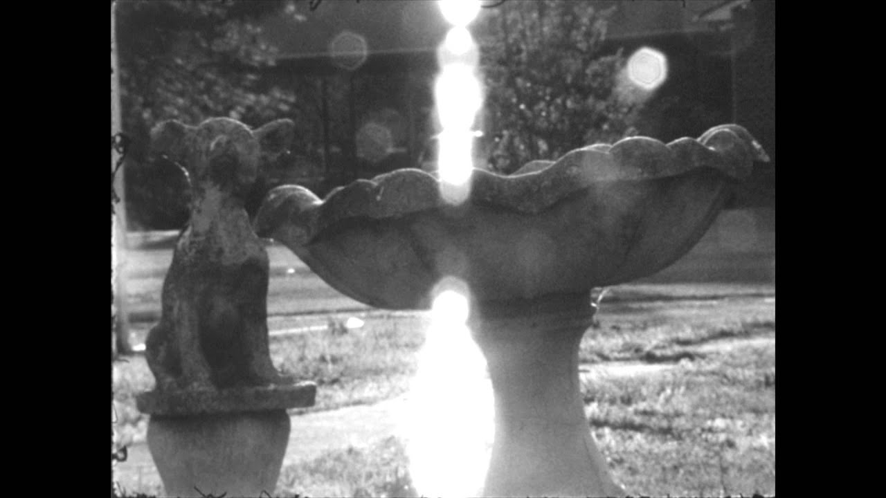 Kodak 16mm Tri-X B/W Reversal Test Film