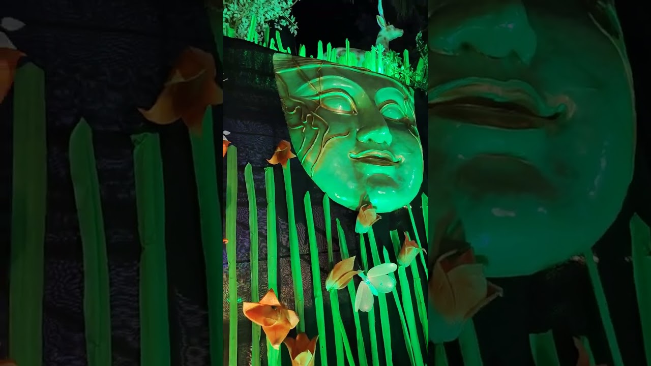 Maa Jagadhatri Ka Pandal And Docoretion and Darshan And Last Video 