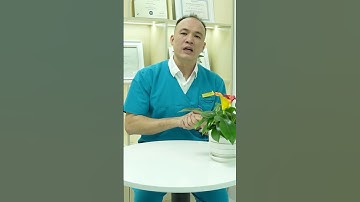 Lấy Cao Răng Có Đau Không ? | Nha Khoa Minh Châu