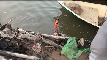 Câu Tráp mùa gió chướng PII