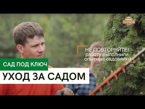 Уход за садом \  Как правильно ухаживать за садом? \ Сад под ключ