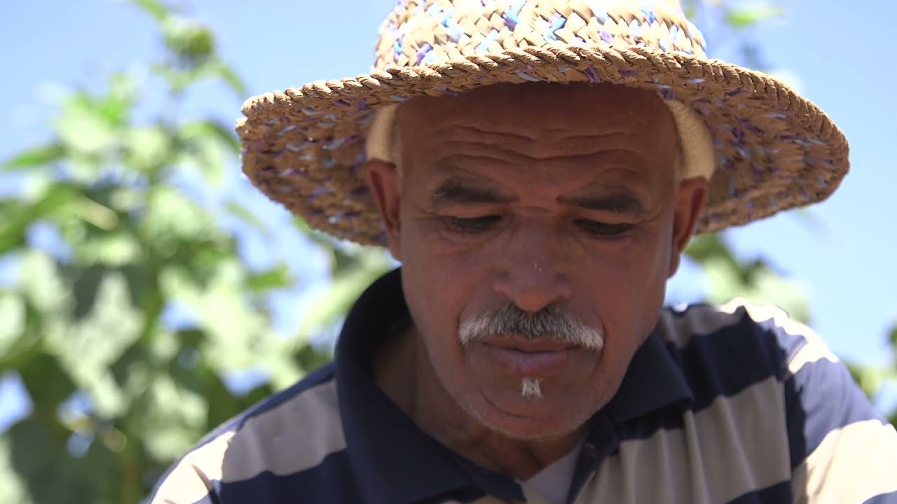 Shift focus to farmers' knowledge on pollinators