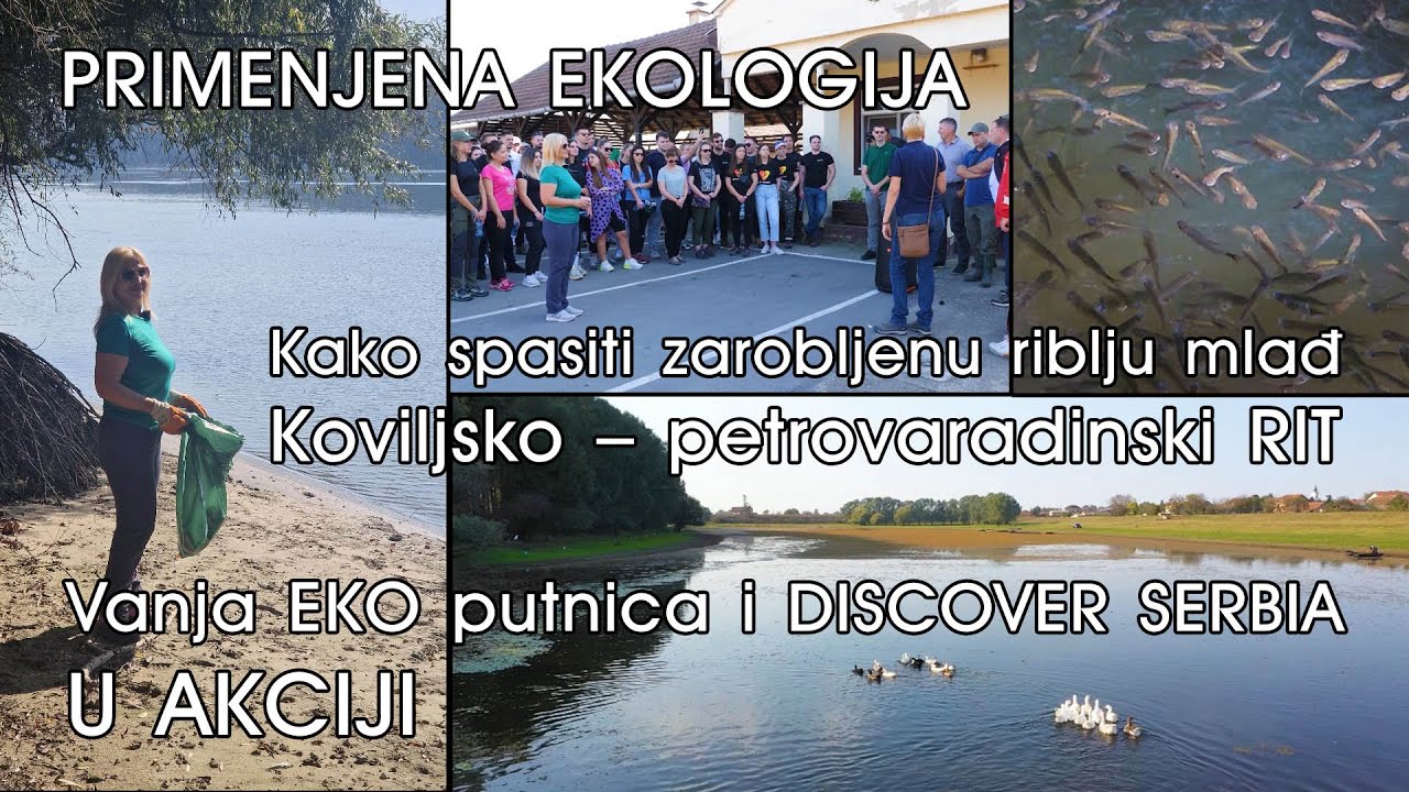 Discover Serbia u Koviljskom RITU/PRIMENJENA EKOLOGIJA/Kako spasiti zarobljenu riblju mlađ/