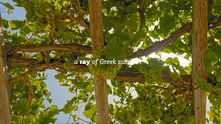 Endless Greek Summer: A ray of Greek summer!