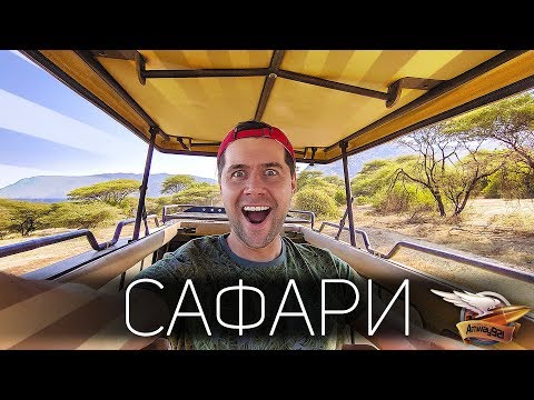 Video: Top 10 nepřehlédnutelných afrických safari destinací