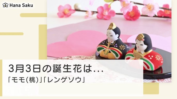 3月3日 誕生花 Youtube 3月3日 誕生花 Youtube