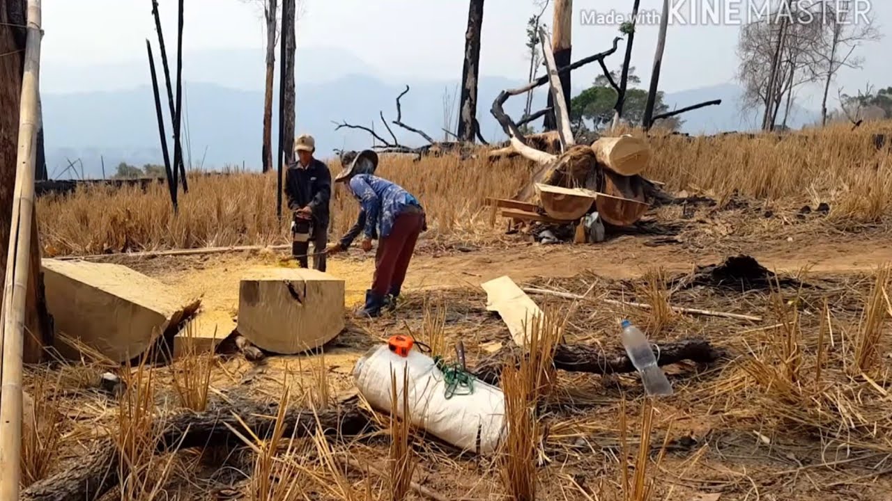 Kuam luaj toj siab lub neej txom nyem