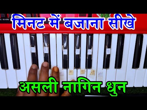 नागिन धुन मेरा मन डोले मेरा तन डोले मेरे दिल का गया करार | हारमोनियम नोटेशन | आर्गन पर बजाए