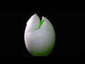 【非公式】TRICK オープニング 再現