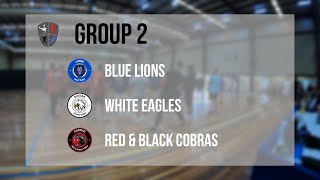 Ffl Cup 2025 - Group 2 All Matches Highlights