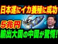 日本が世界で初めて「イカの養殖」に成功！輸出大国中国も驚愕【その他１本】