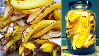 How to Make Banana Peel Fertilizer Water for Plants