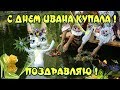 Поздравления с Днем ИВАНА КУПАЛА — 7 июля пожелания в день Ивана Купала