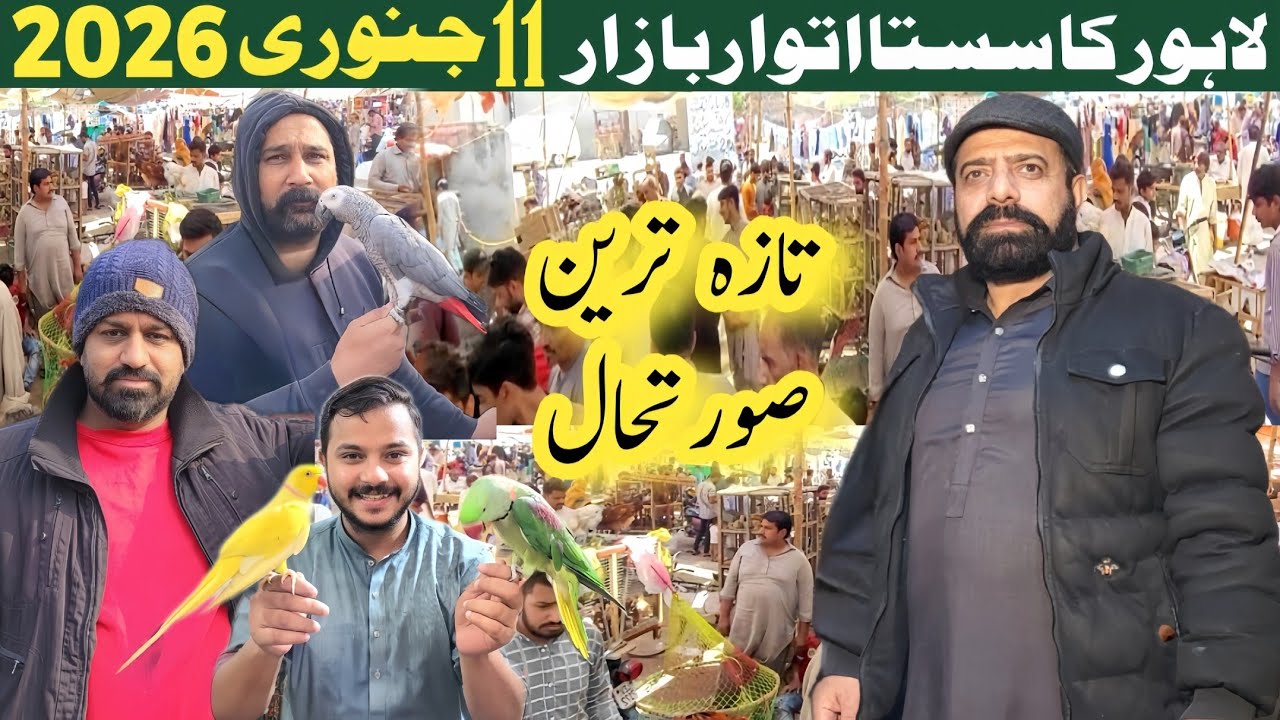 Sunday birds market | Taza Tareen Surat e Haal
