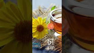 tea tealover health healthtips new news newvideo healthyfood