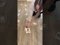 Here's a fun Easter morning surprise to plan for your kids! Proof that the Easter bunny visited! ...