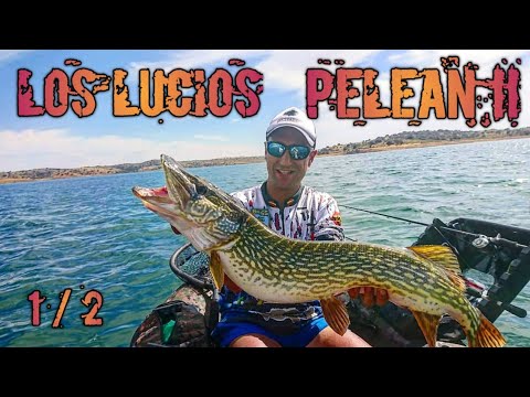 Video: Pesca Del Lucio En Verano