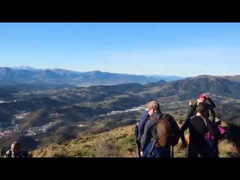 Qué hacer en