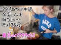 元パスタ屋が友達に最強のペペロンチーノ作りました。【レシピあり】