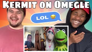 Kermit Brings Miss Piggy On Omegle Reaction