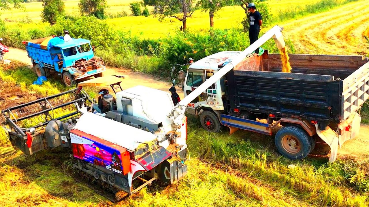 Best Transfer Rice! Powerful Agricultural Harvester Kubota 5 Tone DC ...