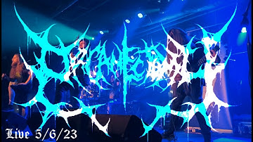 Organectomy - "Concrete" + "The Third Mutation" Live 5/6/23