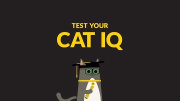 Test Your Cat IQ: The Scoop by Tidy Cats®