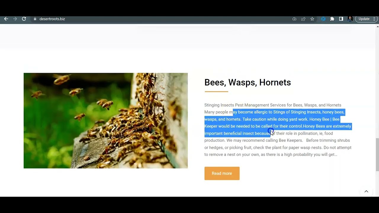 Desert Roots Pest Control Reno NV Reno Pest Control Exterminator