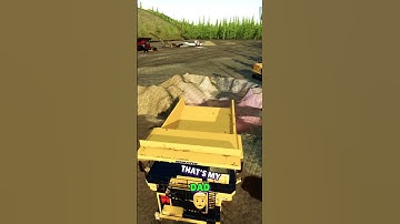 You CAN teach an old Dog NEW Tricks! #farmingsimulator25 #fs25