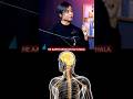 Nervous system and Power Training #biomechanics
