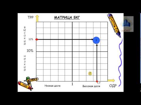 Практическое задание : построение матрицы БКГ