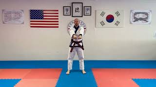 One Step Sparring 3 & 4