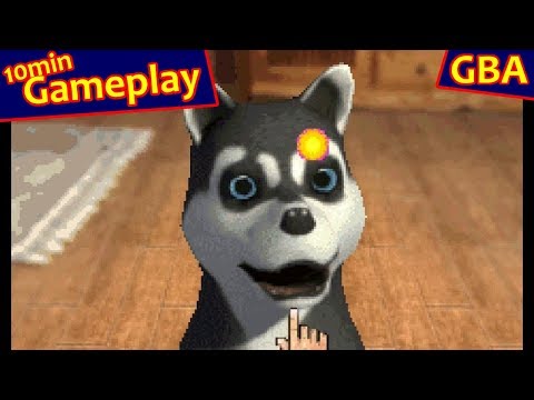 Paws & Claws: Best Friends - Dogs & Cats ... (GBA) Gameplay