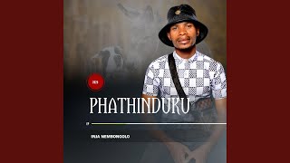 Umjolo Iscam feat Phumeza