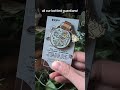 a quick run through of all our bottled guardians! #artshop #enamelpins