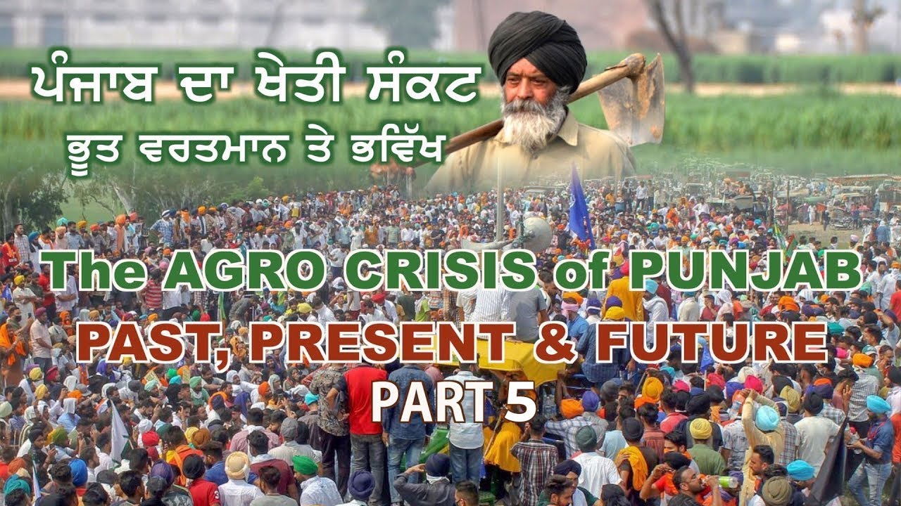 ⁣The Agriculture Crisis of Punjab | Part 5 | ਪੰਜਾਬ ਦਾ ਖੇਤੀ ਸੰਕਟ | ਭੂਤ, ਵਰਤਮਾਨ ਤੇ ਭਵਿੱਖ