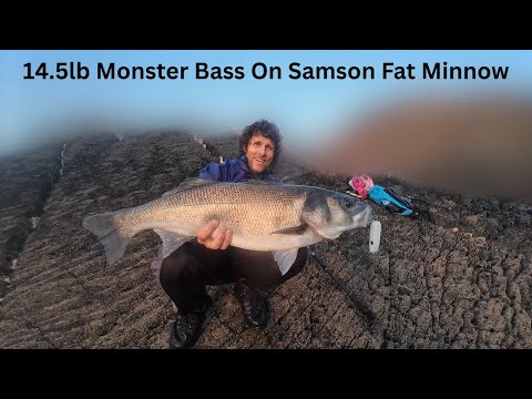 Esca Dura Samson Lures Enticer Bianca Per Pesca In Mare - Bass, Merluzzo, Sgombro