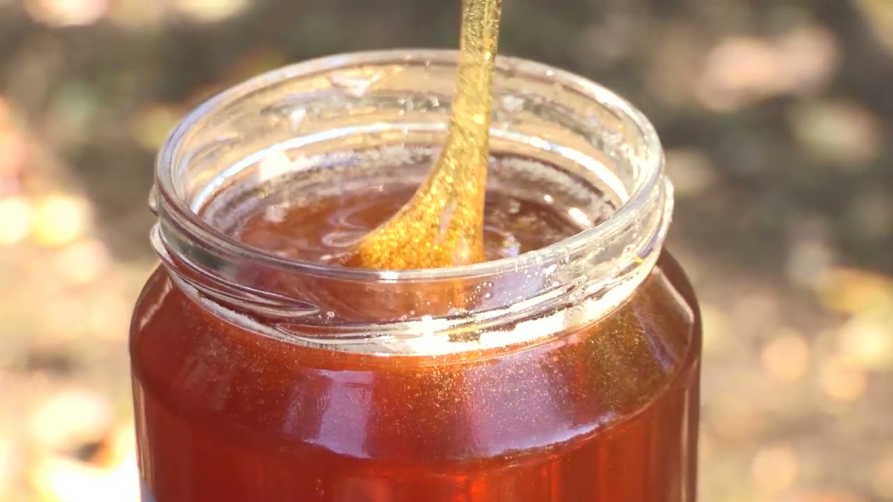 Boja meda ep. 367 18.03.2025. Paša najotpornija na klimatske promene, medne priče, uljana repica