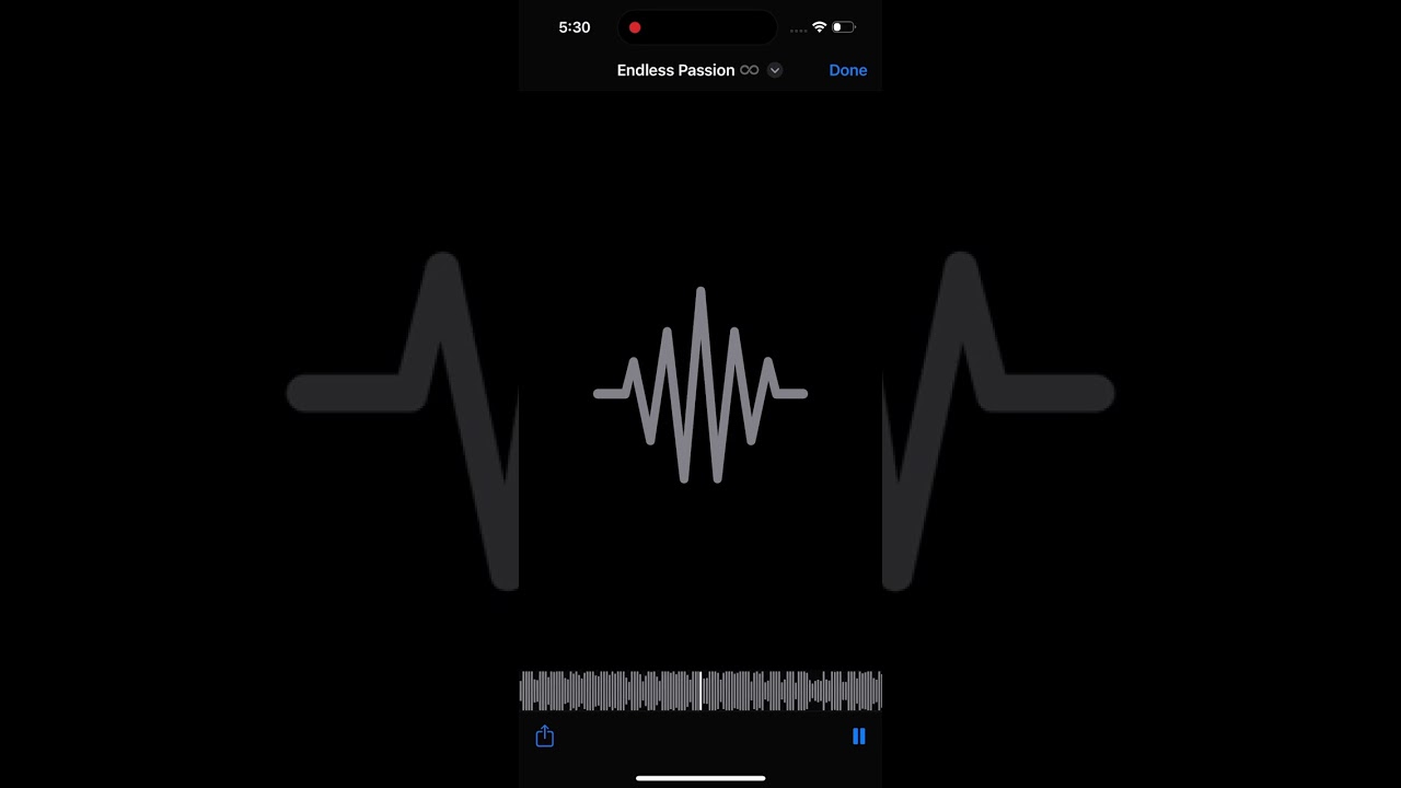 Musǐqual-Endless passion 