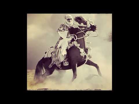 الأرض ستبقى عربية   